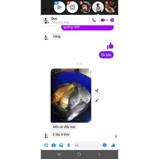 Mồi Câu Rô Phi Siêu Nhạy