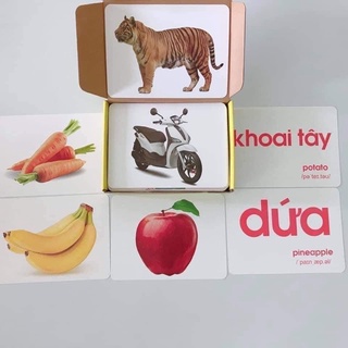 FLASH CARD KHỔ A5