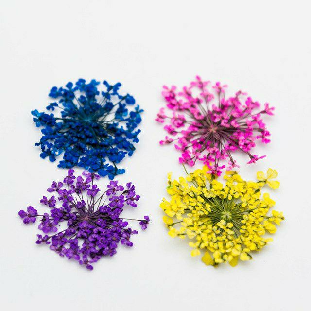 Hoa khô set 12 màu cánh nhỏ trang trí móng Thiên Di Nail