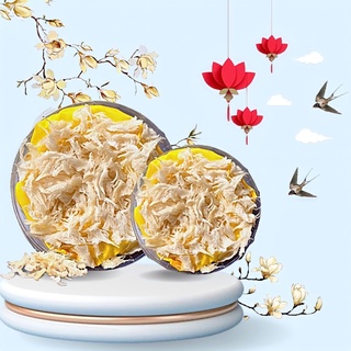 Chân Yến Sào Tinh Chế rút lông - Cao cấp chính hãng