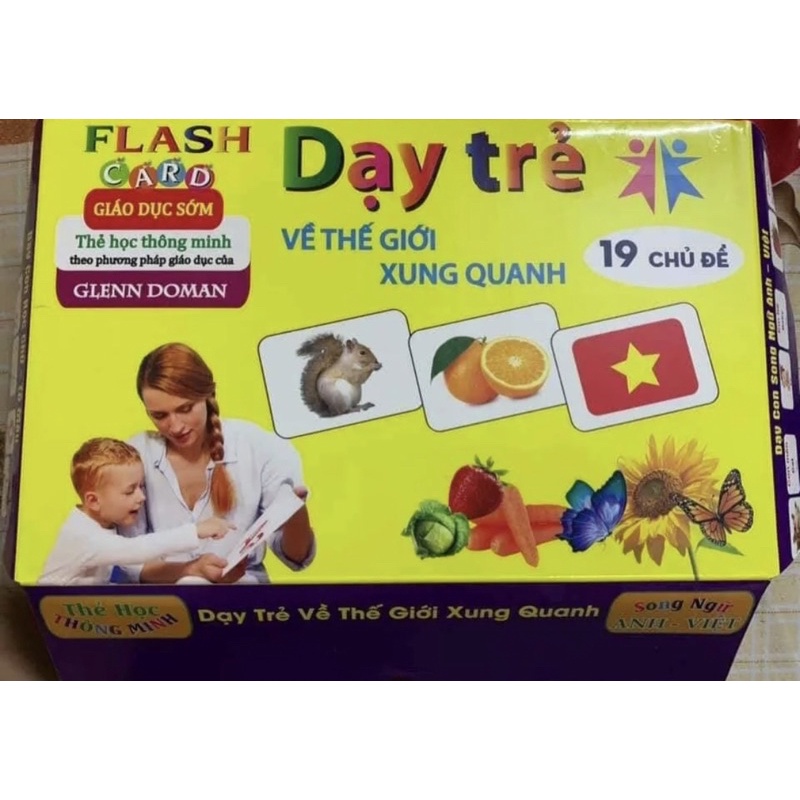 Thẻ học thông minh 19 chủ đề gồm 260 thẻ 12*16