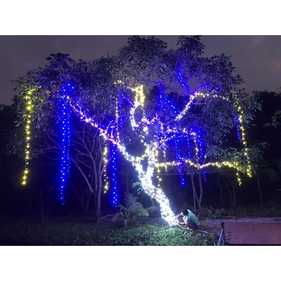 Đèn Led Sao Băng Thả Ngoài Trời Chống Nước Cuộn 2,5m Dùng Để Trang Trí Cây