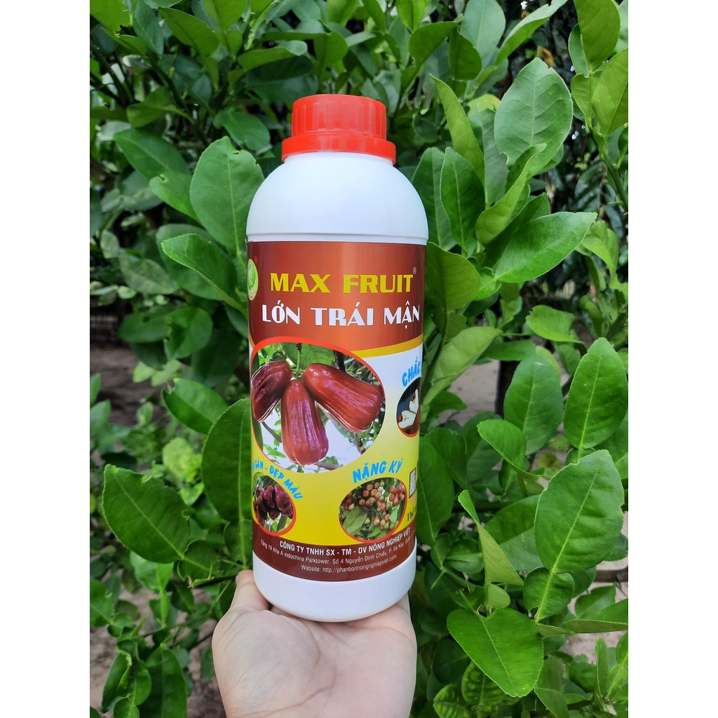 Phân Bón Lớn Trái Mận Max Fruit Chai 1 Lít - Trái Nặng Cân, Đẹp Màu, Chắc Ruột