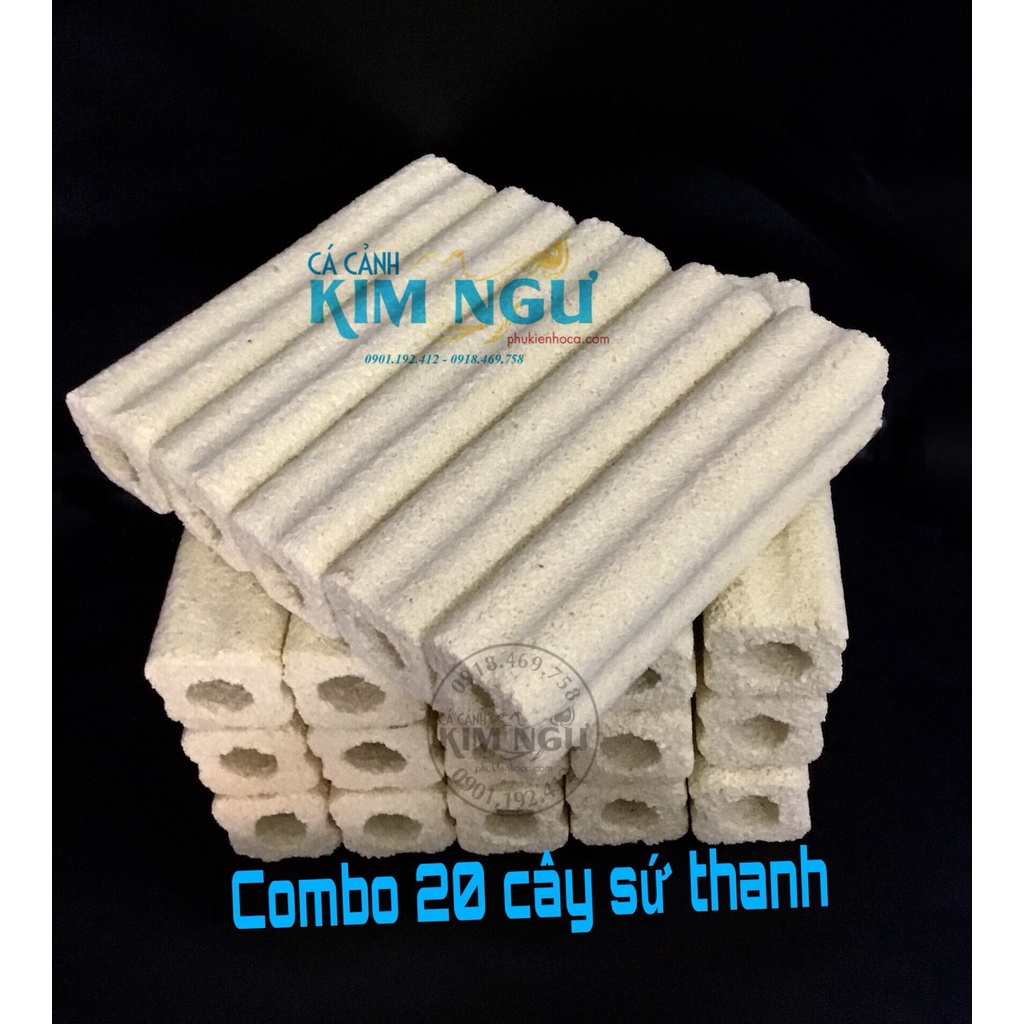 Combo 20 Cây Sứ Thanh Vàng Lọc Nước Hồ Cá 15*3.5*3.5cm