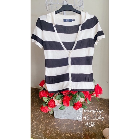 Áo len mongtegi kiểu