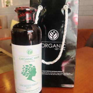Dầu gội organic hair