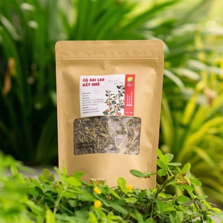 Trà cà Gai Leo Sấy Khô thanh nhiệt giải độc túi 70gr