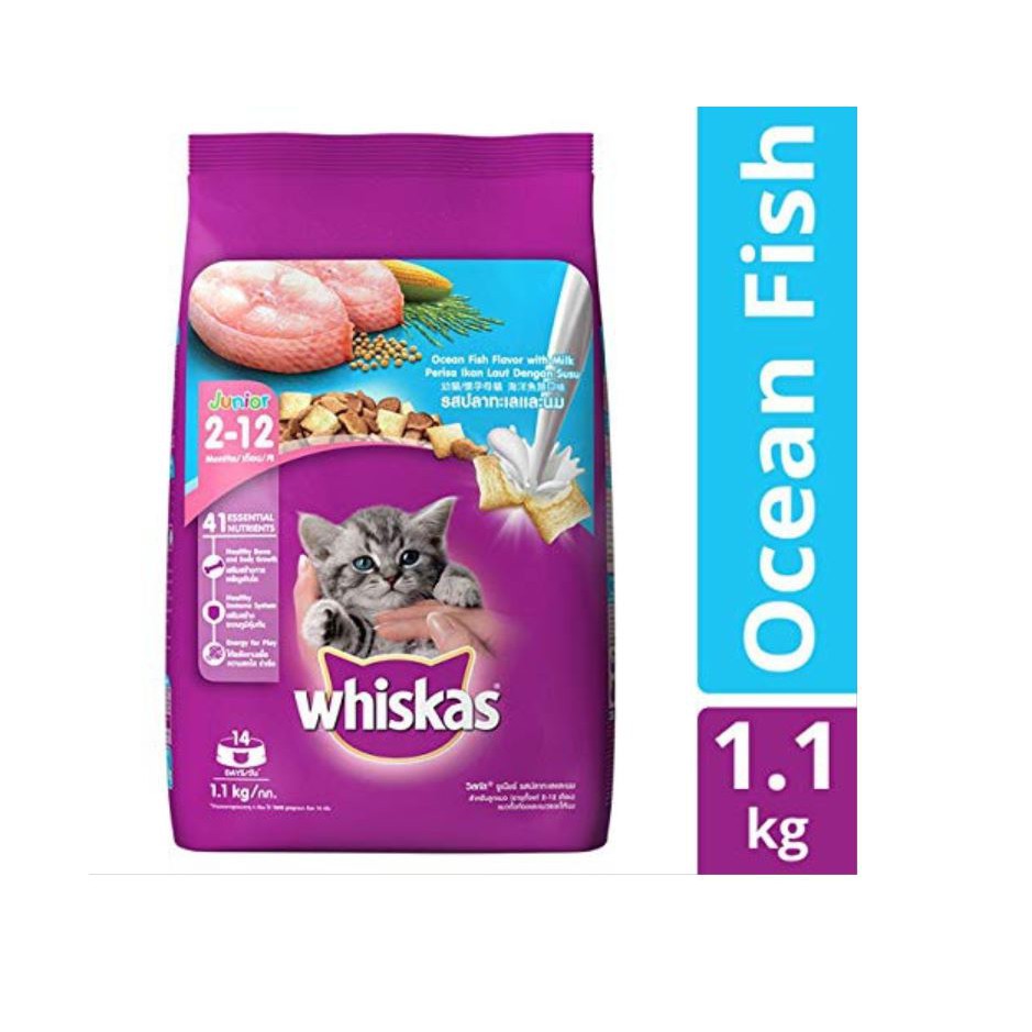 Thức ăn mèo whiskas junior 1.1kg