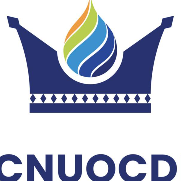 VUALOCNUOCDIENGIAI_VN