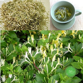 1kg kim ngân hoa khô F027