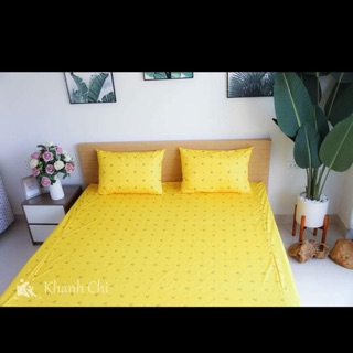 Ga chống thấm khánh chi 2x2,2x10cm
