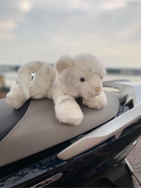 Thú bông như thật