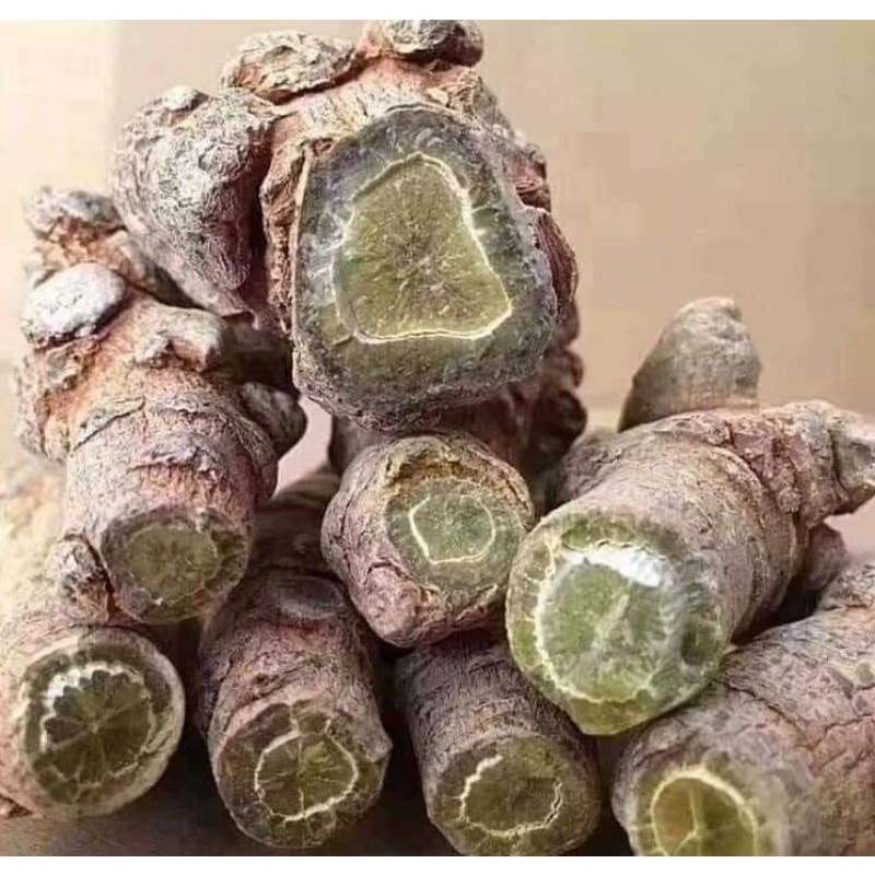 TAM THẤT BẮC (loại 52-53 củ/1kg) 500gr