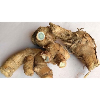 500g bột nghệ đen Nghệ An
