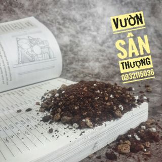 Đất trộn cao cấp dành cho sen đá, xương rồng 200gr