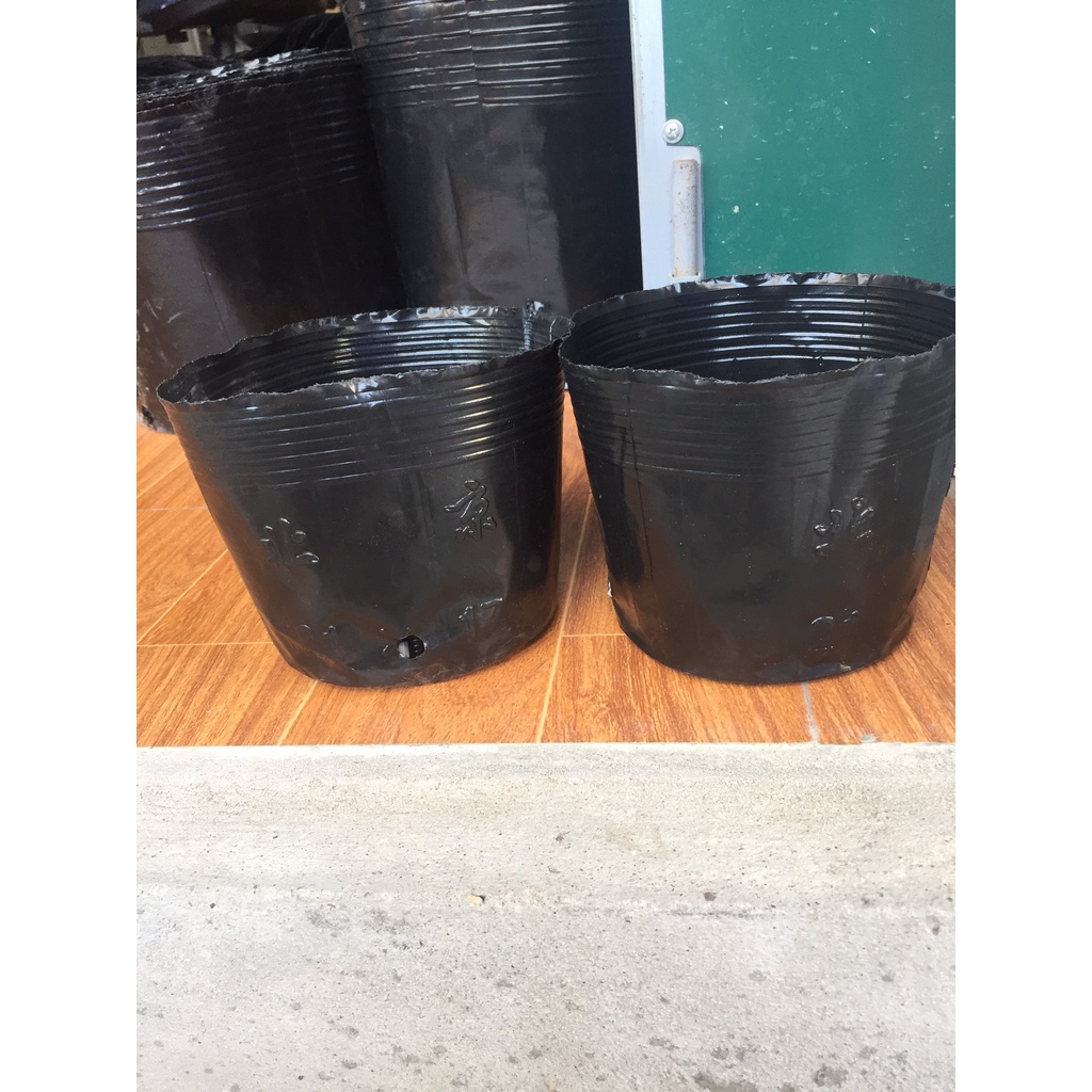 BẦU ƯƠM CÂY 21*17 ( DỊCH TRUYỀN CHO CÂY, KÍCH RỄ , MẦM CÂY XANH LÁ, LƯỚI CHE NẮNG...)