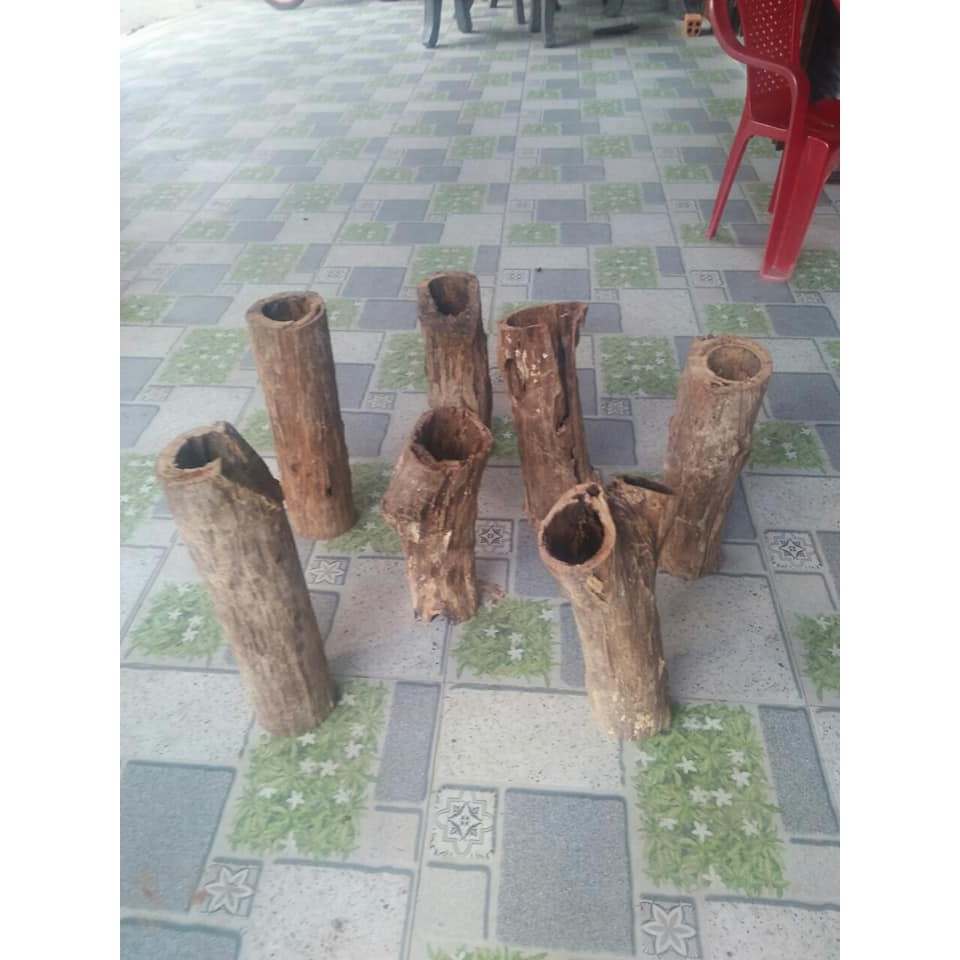 LŨA SAN  ĐÁ ỐNG RỖNG - TRANG TRÍ HỒ CÁ TÉP THỦY SINH