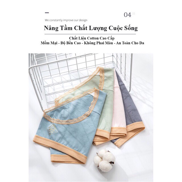 Quần lót cotton tăm royal &lt; có size &gt;