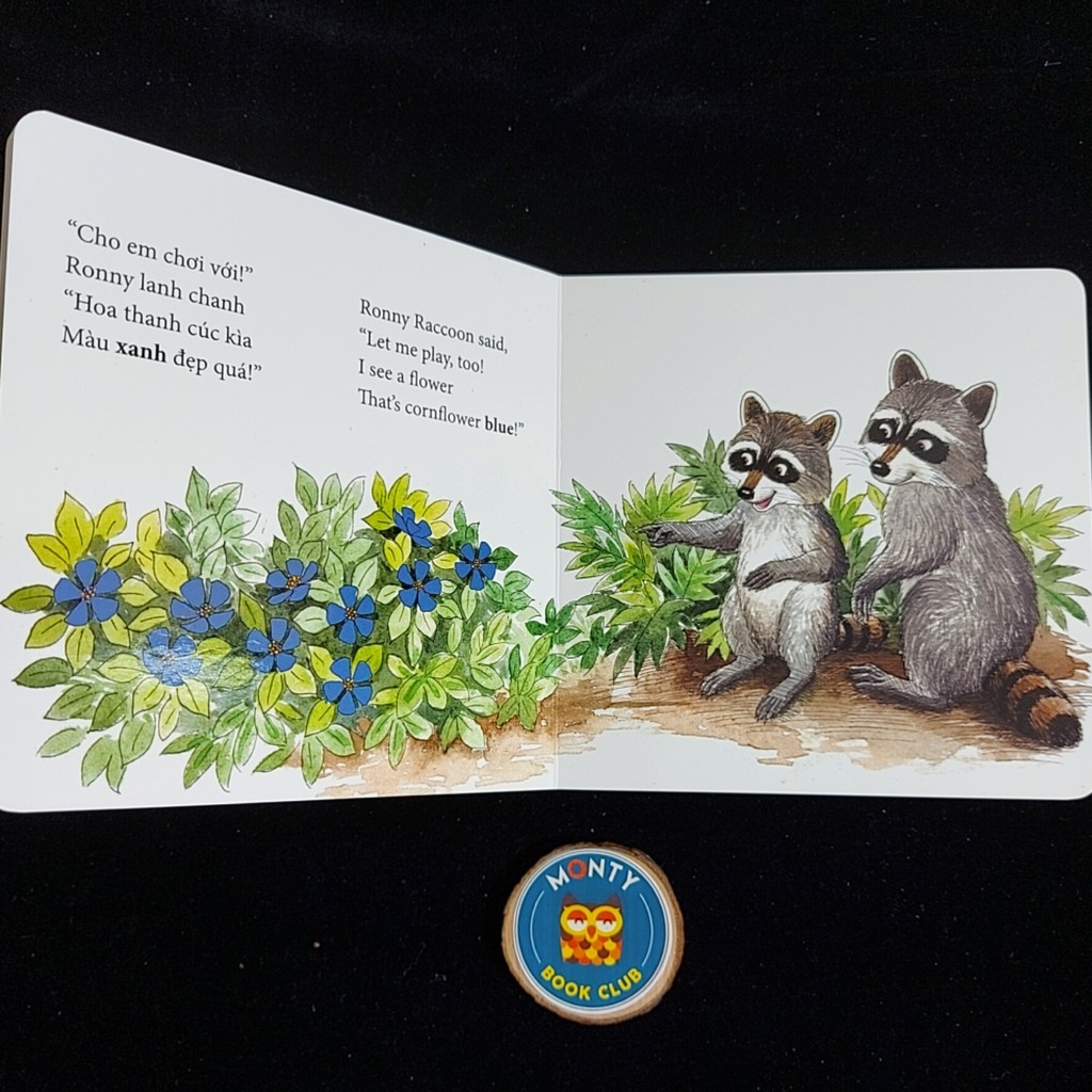 Sách - Nụ Hôn Trên Bàn Tay board books (bìa cứng -lẻ cuốn)