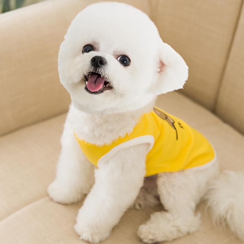 Áo cho chó poodle mùa hè Hipipet vải lụa băng mát lạnh màu vàng in hình teddy so nice