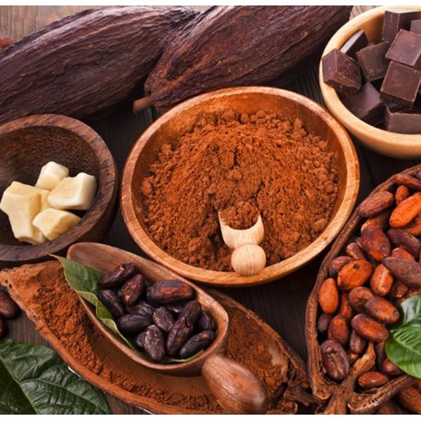 Bột cacao nguyên chất SFOOD, cacao nguyên chất