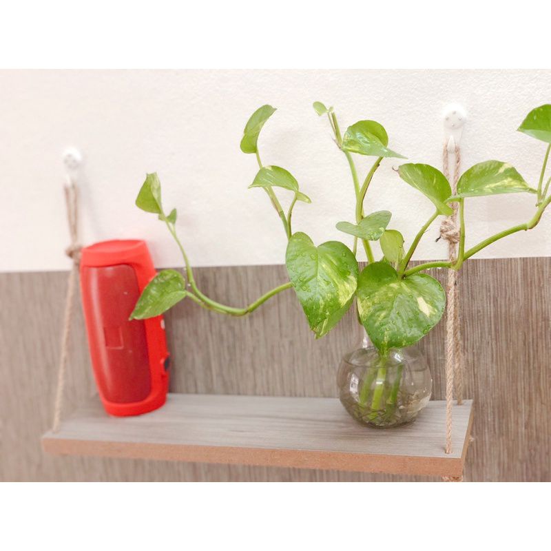 kệ treo tường đa năng trang trí - kèm dây thừng - kích thước 12x40