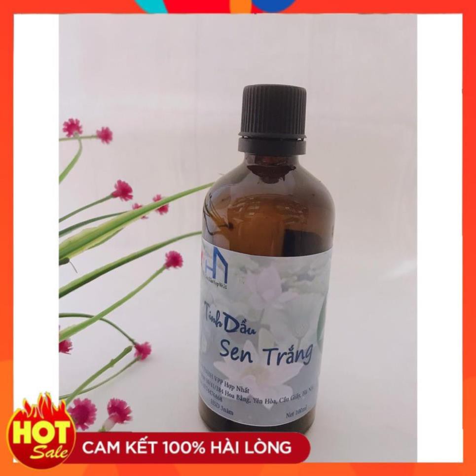 Tinh dầu thơm xông phòng hương Hoa Sen Trắng lọ 100ml