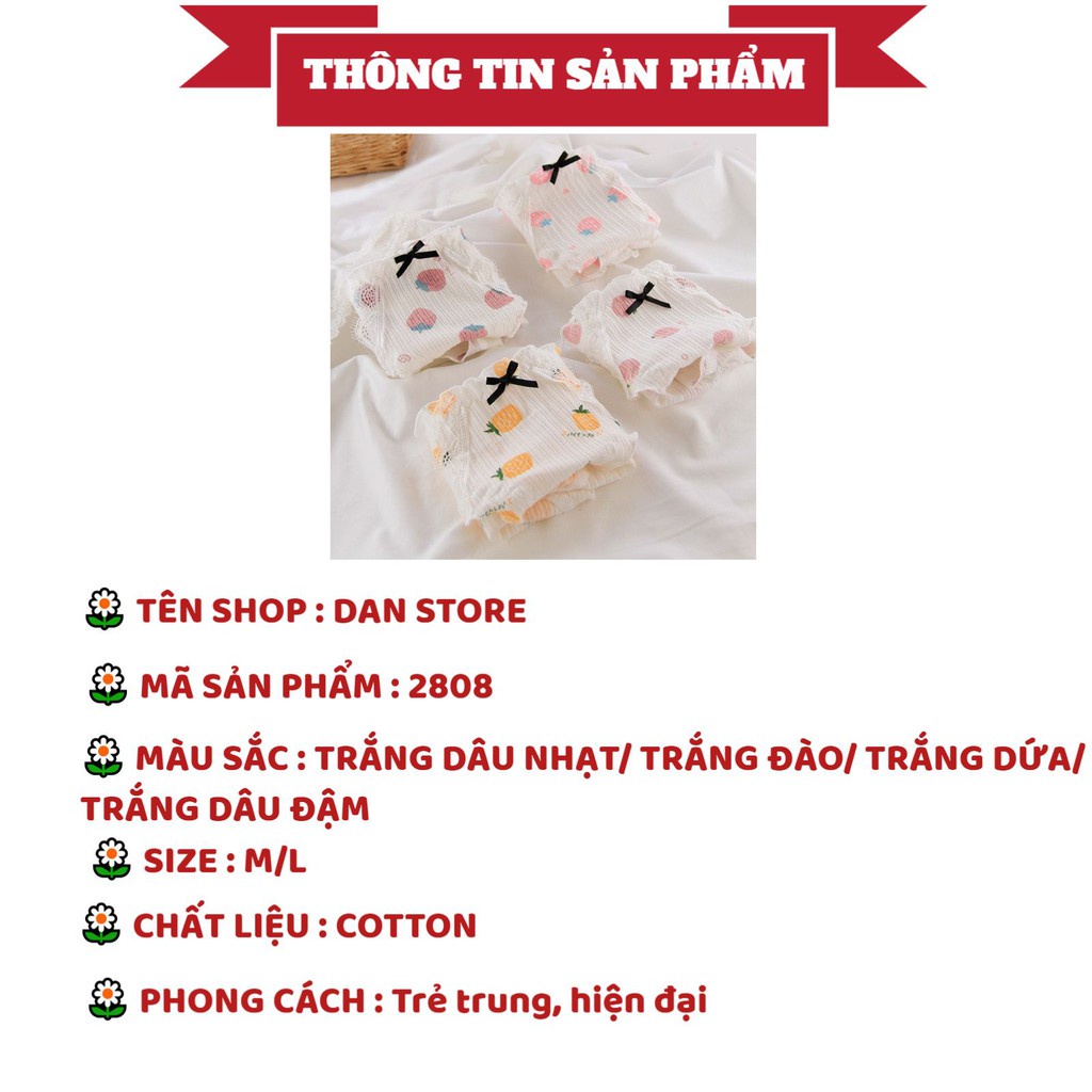 Quần Lót Cotton Nữ - Quần Lót Nữ gân tăm hình hoa quả mềm mại DAN STORE Mã 2808