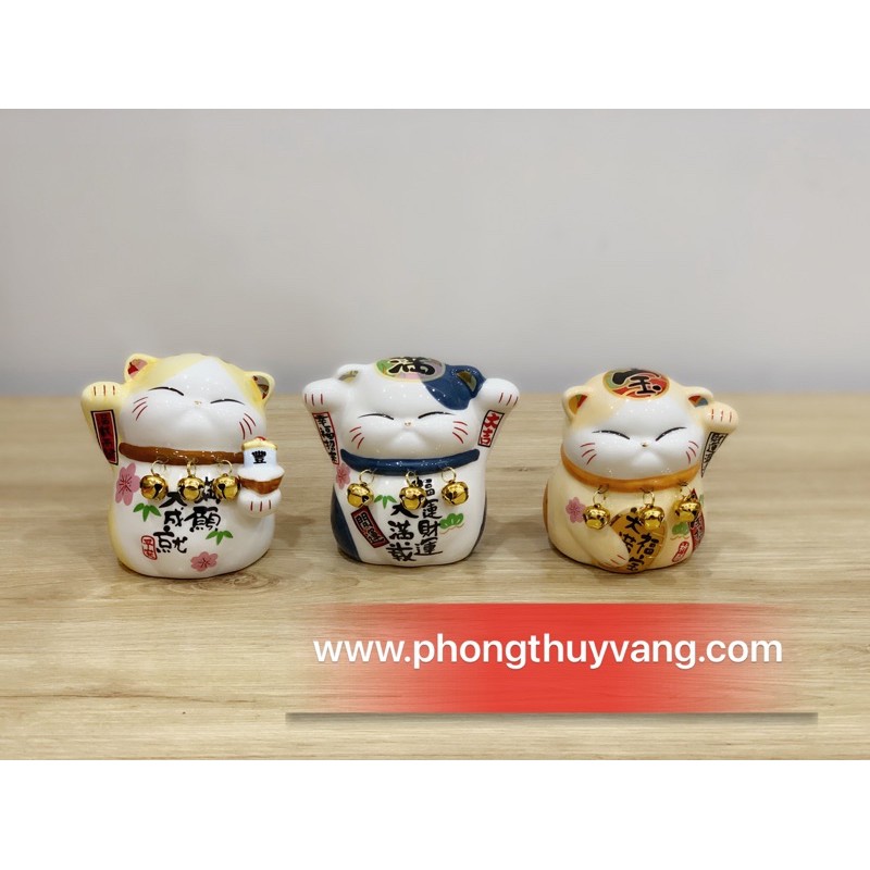 Mèo Thần Tài size 12-15cm