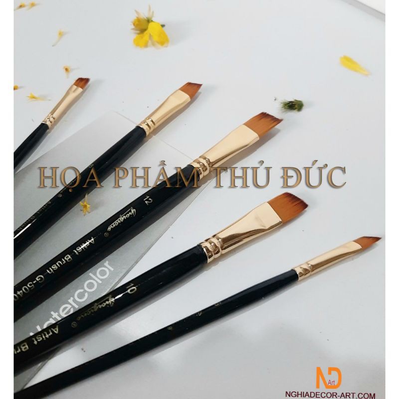 BỘ 5 CỌ XÉO GIORGIONE CÁN ĐEN CHO MÀU NƯỚC, ACRYLIC,...