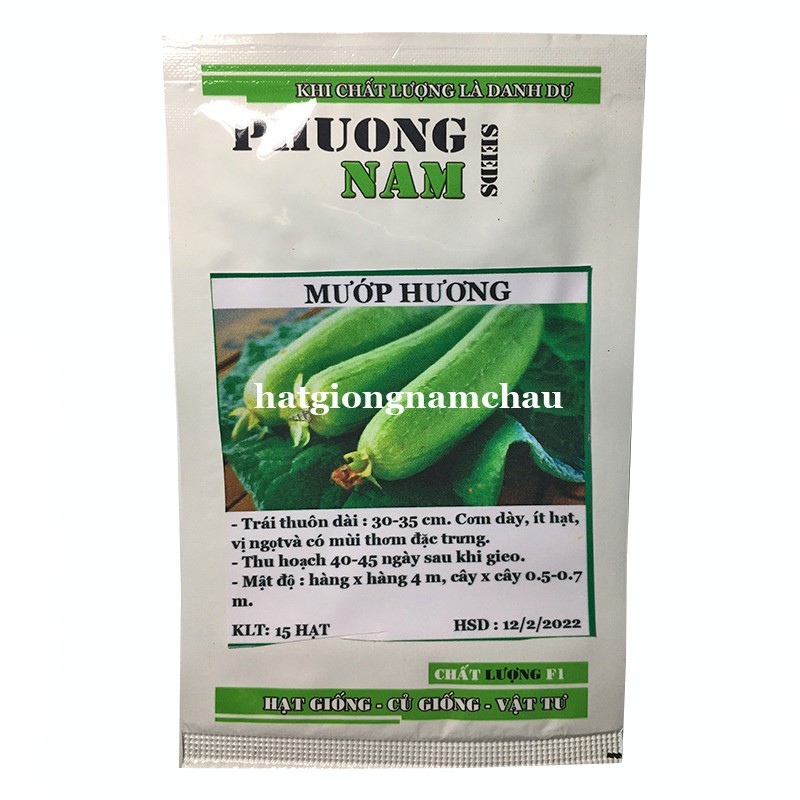 10H - HẠT GIỐNG MƯỚP HƯƠNG