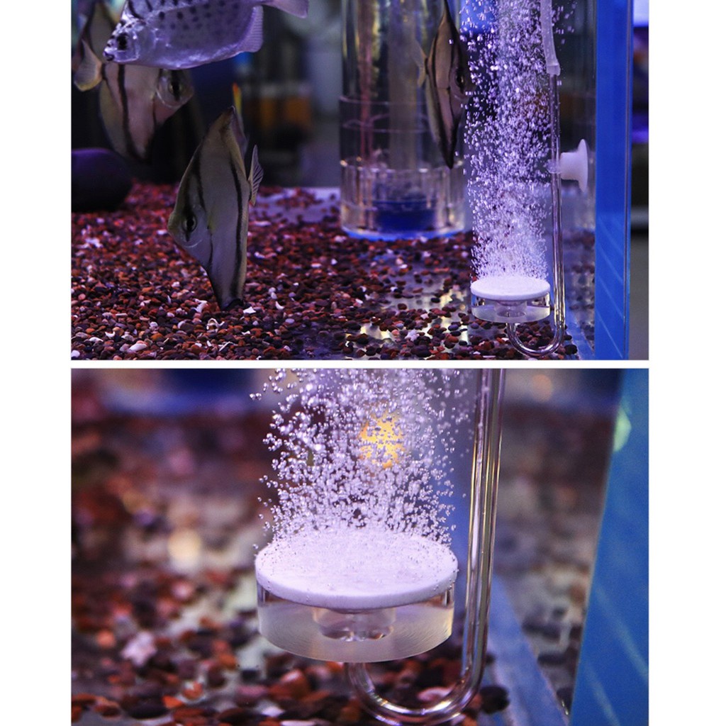 Cốc sủi oxi siêu mịn chất liệu acrylic siêu đẹp - Cốc sủi oxi chuyên dụng siêu đẹp giá siêu tốt