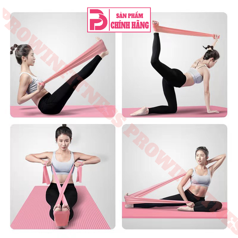 Dây tập cao su đàn hồi tập Yoga Gym cao cấp Prowin Fitness
