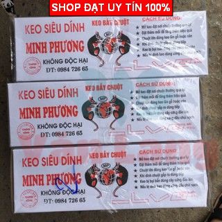 Keo dính chuột siêu dính, lớp keo dày