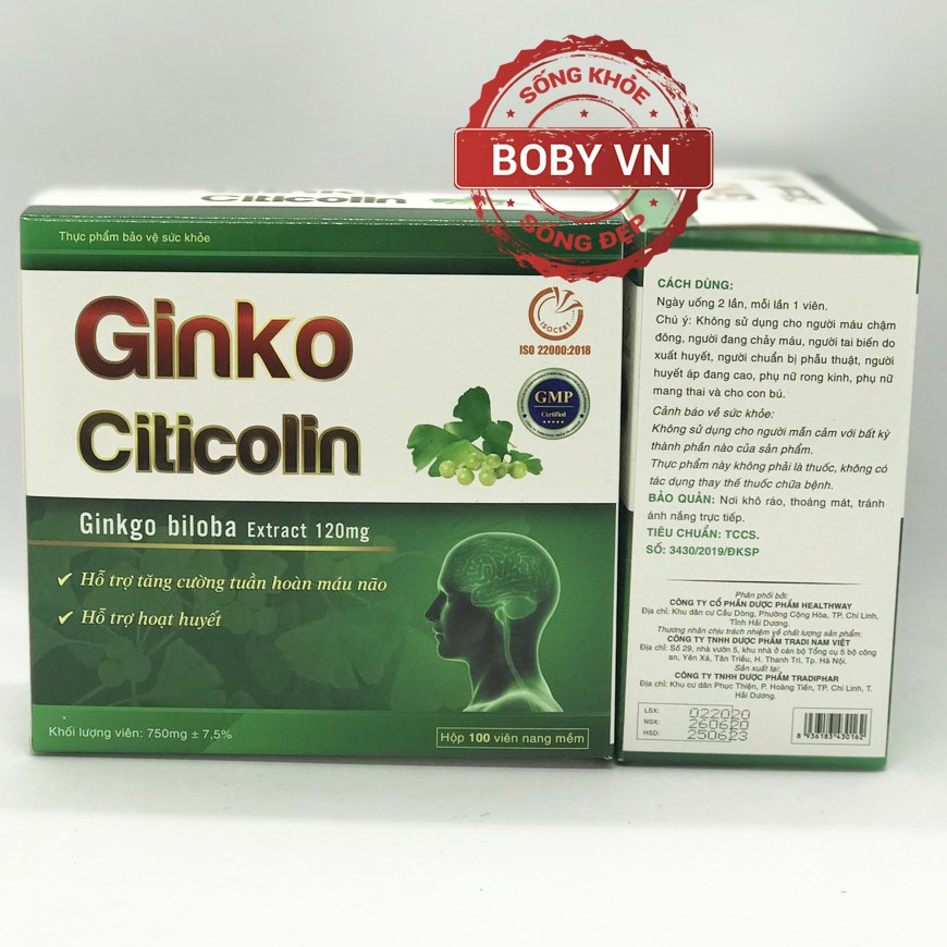 Ginko Citicolin - Ginkgo biloba extract 120mg - Tăng cường tuần hoàn máu não, hỗ trợ hoạt huyết (Hộp 100 viên)