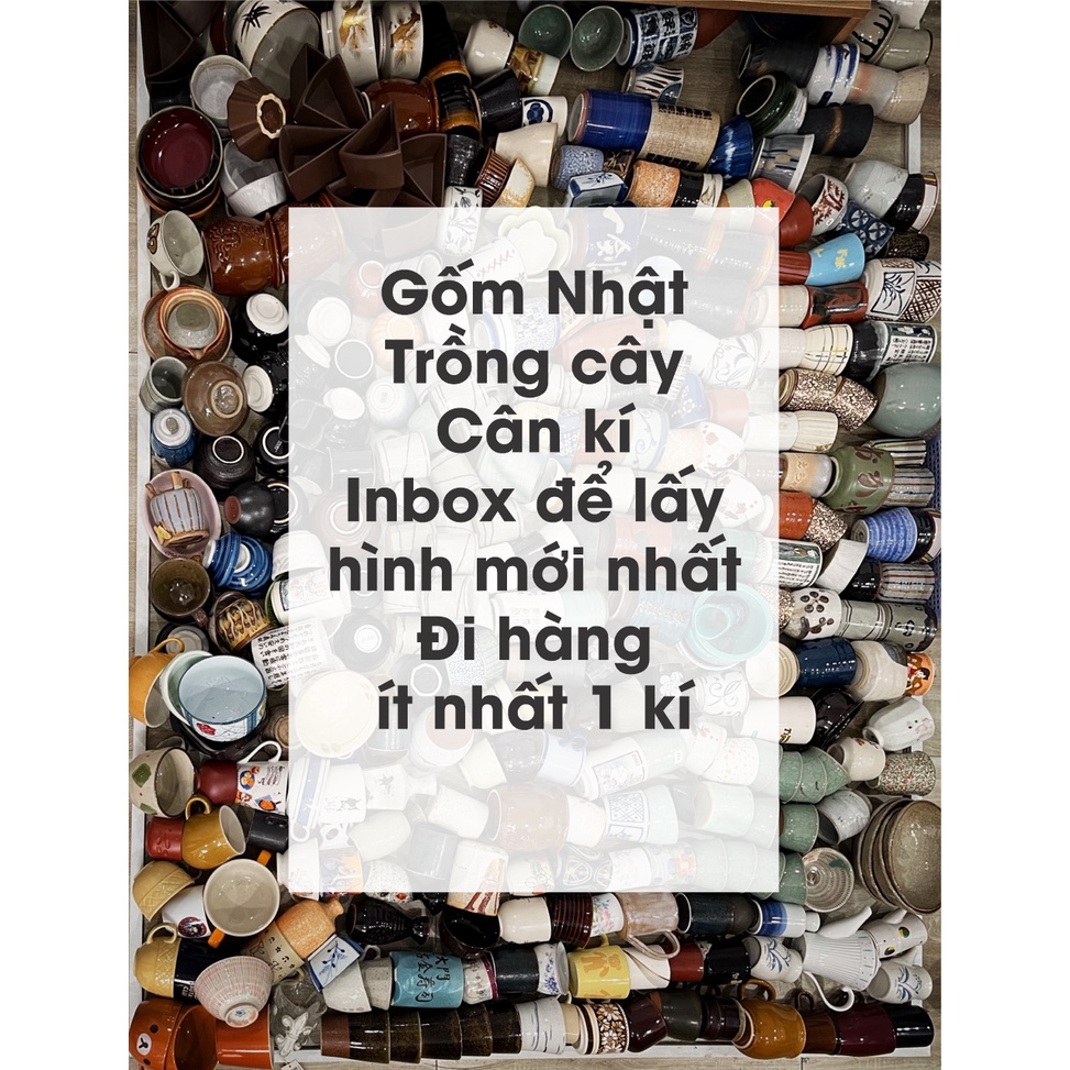 Gốm Nhật Trồng cây ( Ly - Chén - Tô)