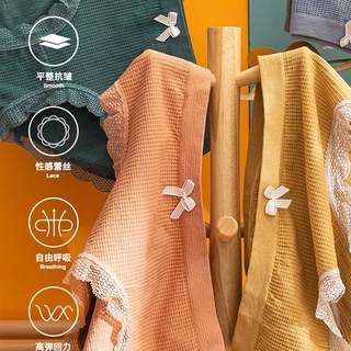 SET 10 QUẦN CHIP VIỀN REN ( Cotton co dãn )