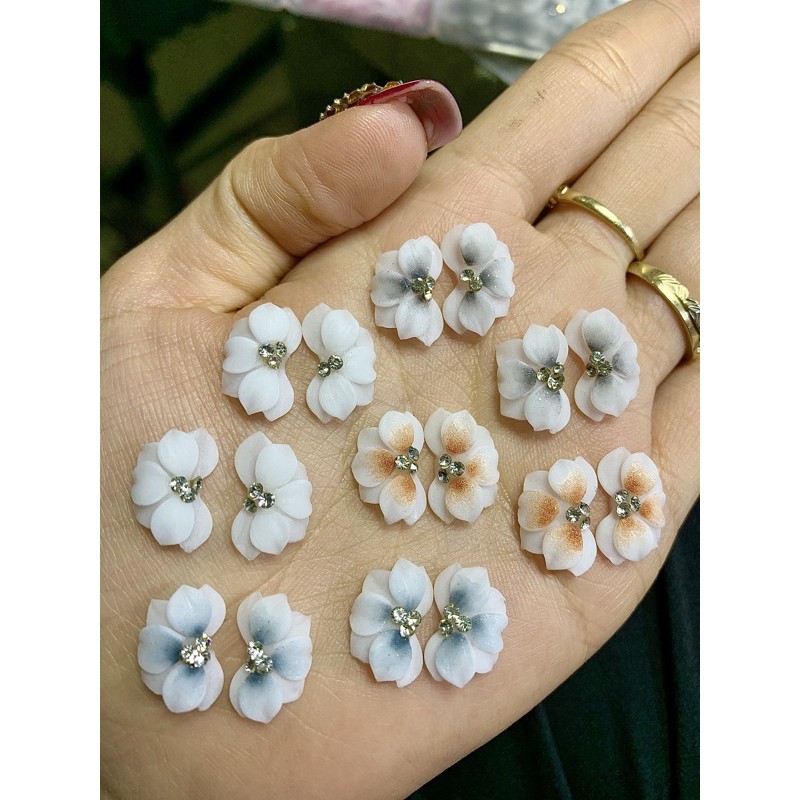 Hoa cúc nhọn - Hoa bột nail