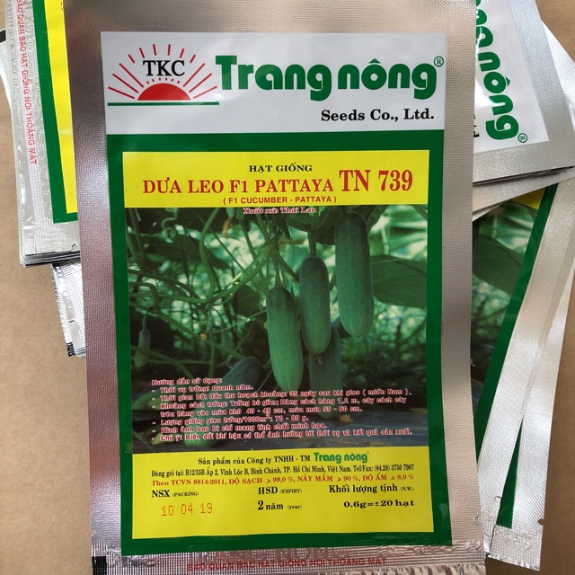 Hạt giống Dưa Leo (Dưa Chuột)