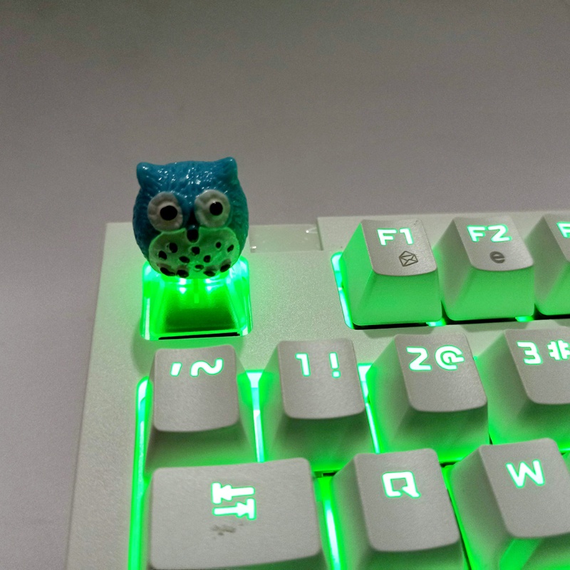 Nút Bàn Phím OEM R4 Bằng ABS Bền Bỉ Sáng Tạo Cho Cherry MX Switches Swan Owl