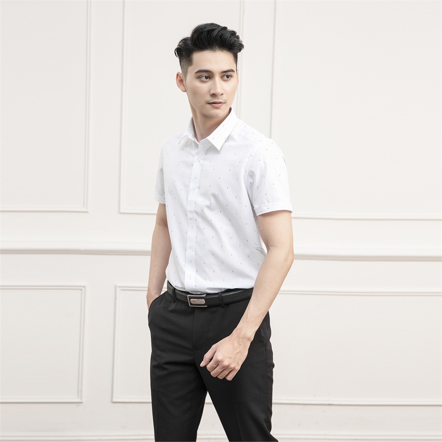 Áo sơ mi ngắn tay nam Aristino - ASS099S9