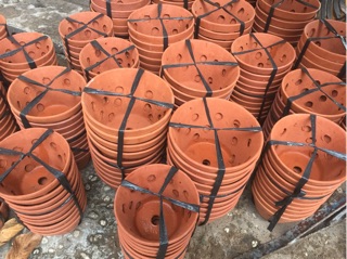 Combo 25 Chậu lan đất nung