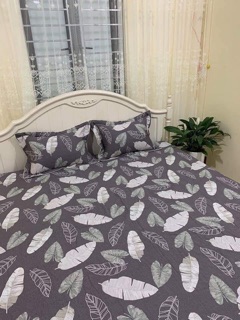 Sét ga gối cotton Hàn m6*2m