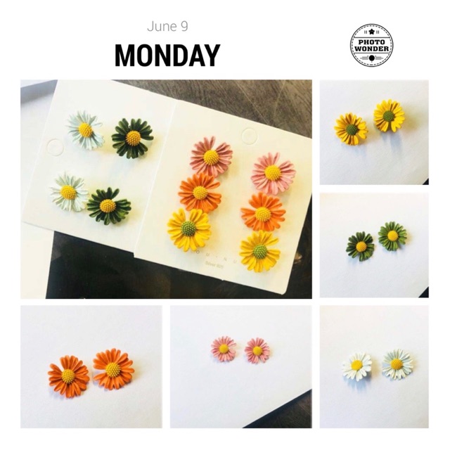 Bông tai hoa cúc hot nhất