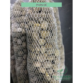 Túi lưới 20cm phân dê bón lan đã qua xử lý