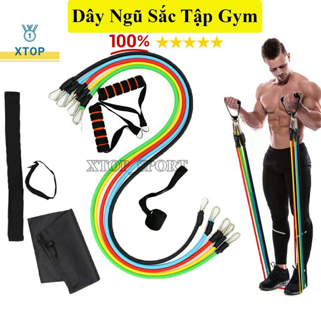 [FREESHIP] Dây Kháng Lực Đa năng Tập Gym. Dây Ngũ Sắc Tập Thể Thao Cao Cấp Móc Sắt To