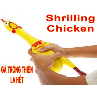 Gà trống thét shriling chicken 40cm