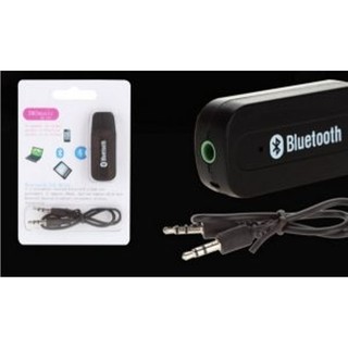 USB BIẾN LOA THƯỜNG THÀNH LOA BLUETOOTH 301