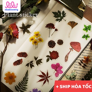 Sticker dán trang trí sổ tay mẫu hoa cỏ thực vật HD105-K59 DIY Crafts, Scrapbook, Journal, Diary, Planner, Thủ công