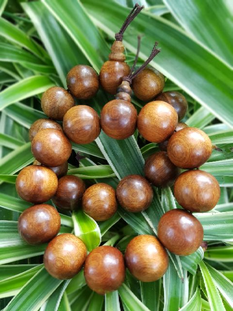 Vòng tay nam gỗ tổ hợp cổ thụ hạt tròn 20 ly Vòng tay may mắn tài lộc bình an